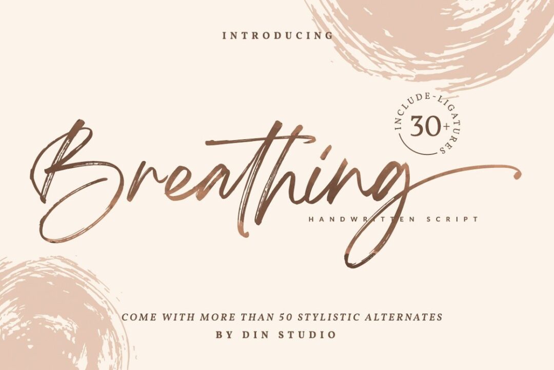 Exclusive Modern Font Bundle By Din Studio – UISUM