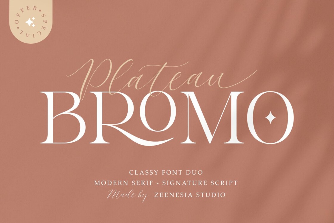 Bromo Plateau - Classy Font Duo