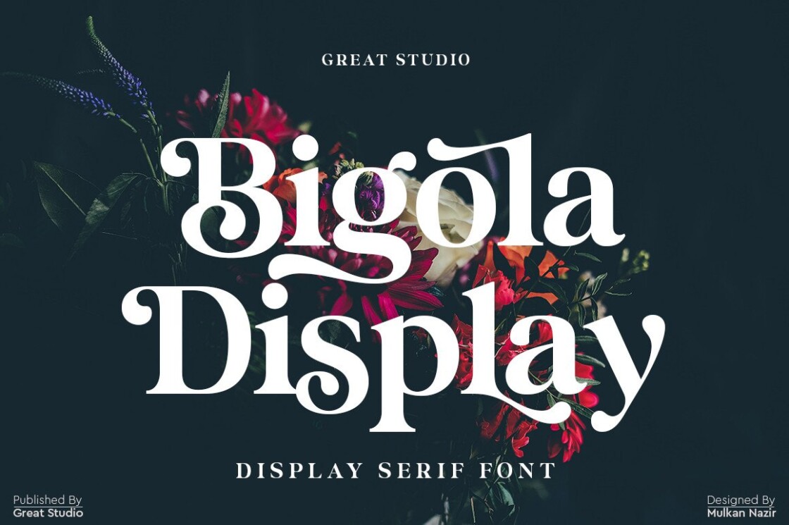 Bigola Dispaly - Display Serif Font
