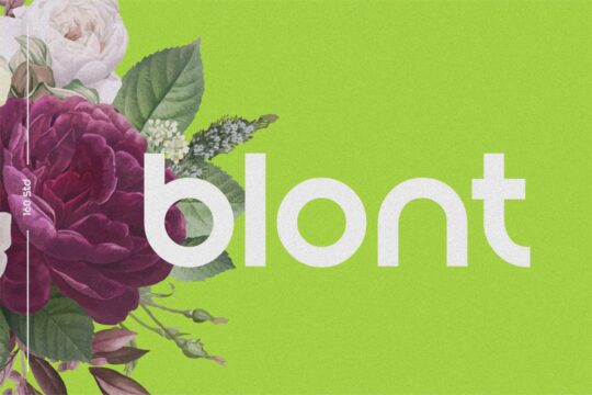Blont - Modern & Clean Logo Font By 160 Studio