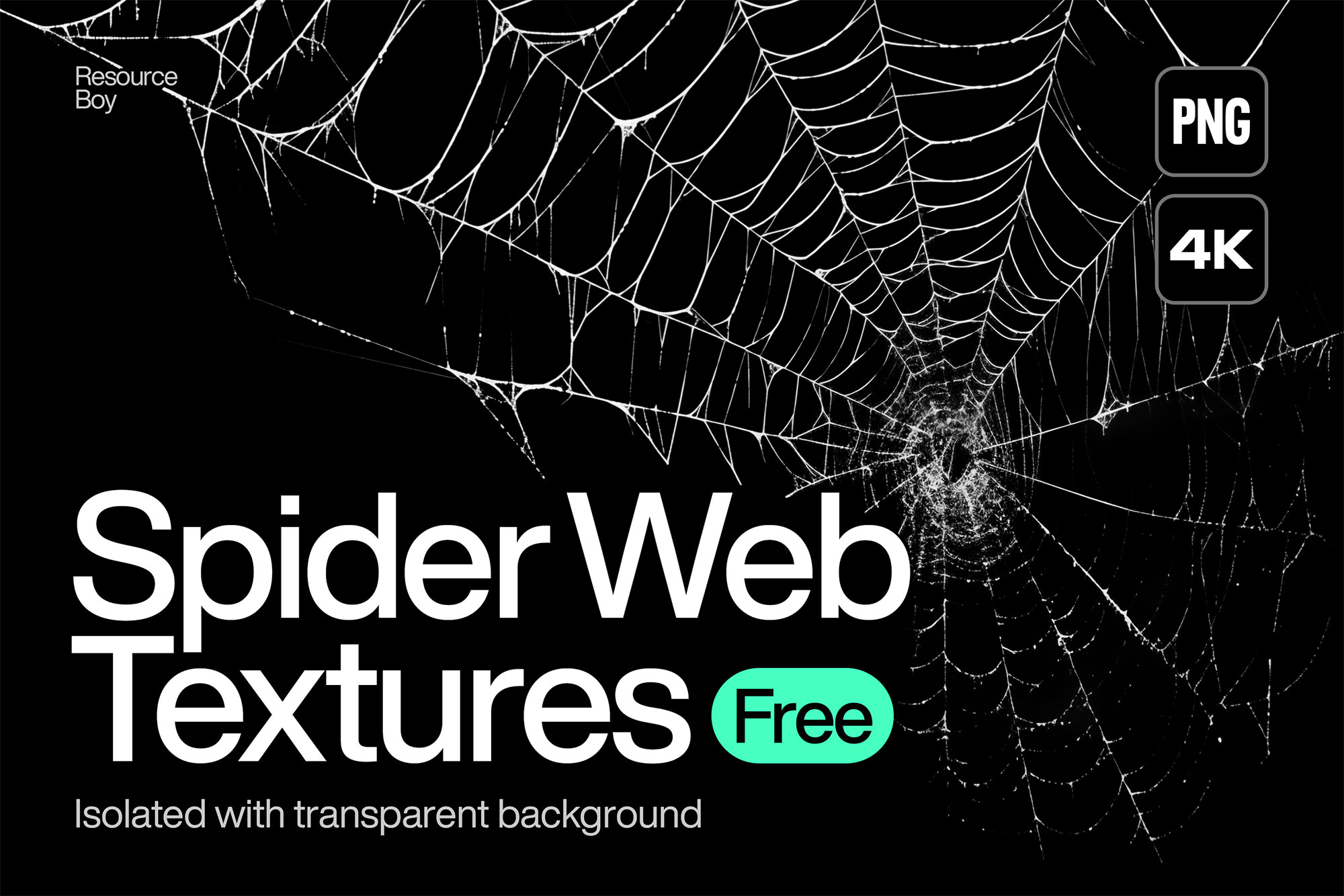 200 Spider Web Textures – UISUM
